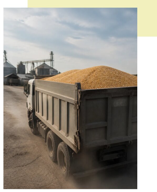 Перевозка сельхозпродукции навалом в Донецк по цене от 3284 р. | Агросервис-Днк