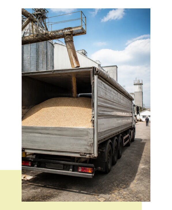 Перевозка овса в Донецк с гарантией сохранности груза