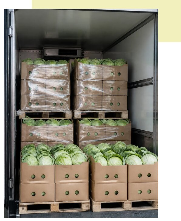 Перевозка белокочанной капусты в Донецк по цене от 5474 р. | Агросервис-Днк